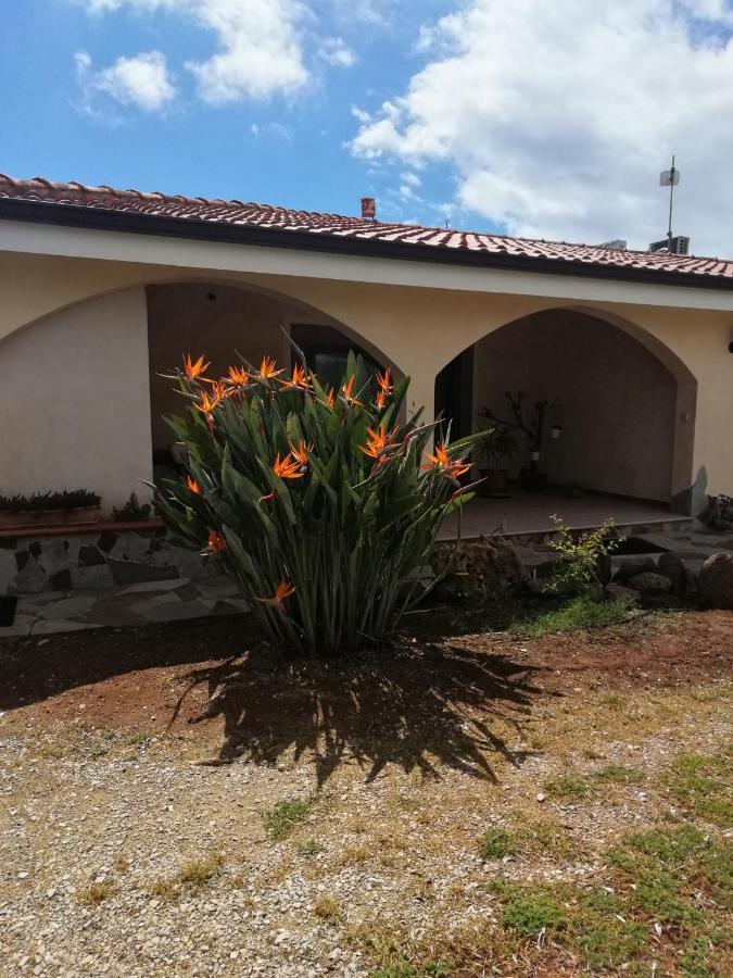Da Patrizia Acomodação com café da manhã Alghero Exterior foto
